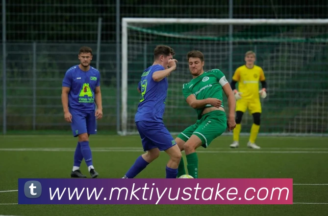 App Interface Preview