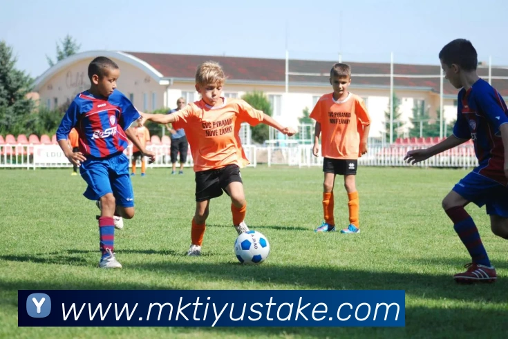 MK体育APP 封面图